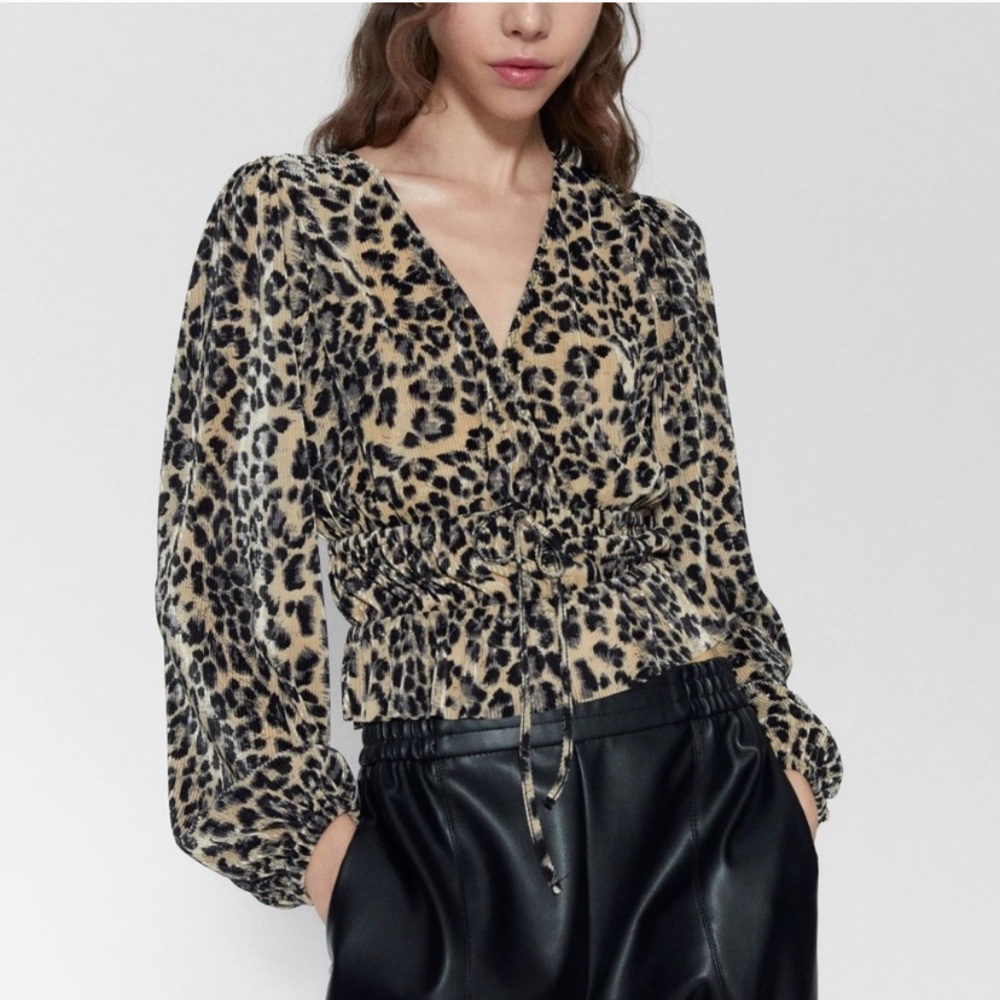 Zara pleated Long Sleeve Top